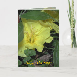 Happy Birthday Card