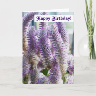 Happy Birthday Card
