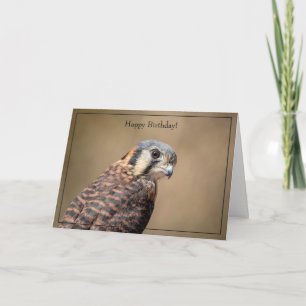 Happy Birthday Card American Kestrel