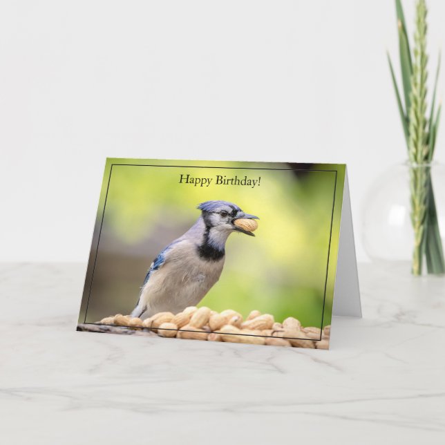 Happy Birthday Card Blue Jay (Front)