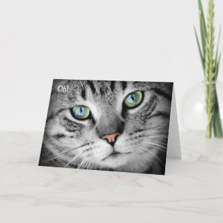 Happy Birthday Card: Cat says "Oh!" Card