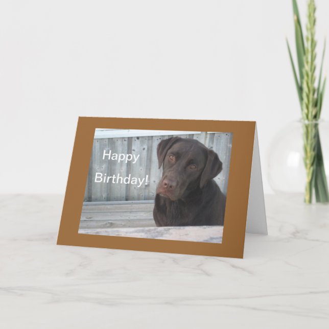 Happy Birthday Card - Chocolate Lab (Front)