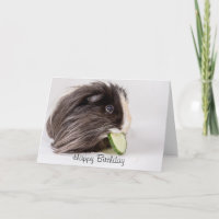 Happy Birthday card cute guinea pig eating