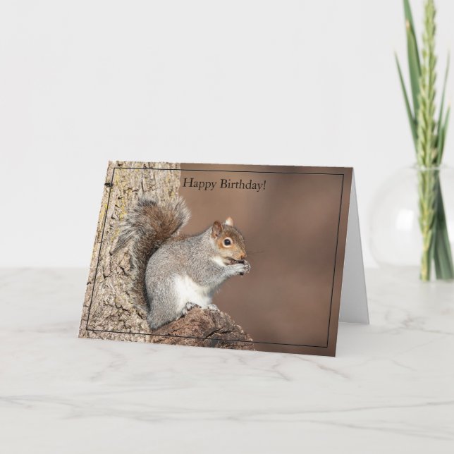 Happy Birthday Card Grey Squirrel (Front)