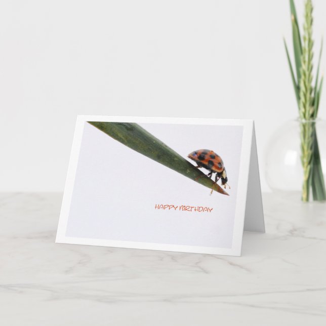 Happy Birthday Card Ladybird (Front)
