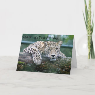 Happy Birthday Card: Leopard looking over a branch Card
