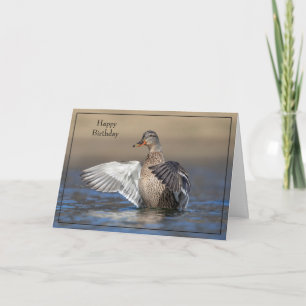 Happy Birthday Card Mallard Duck