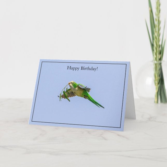 Happy Birthday Card Monk Parakeet (Front)