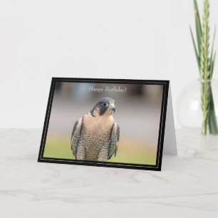 Happy Birthday Card Peregrine Falcon