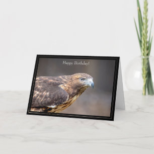 Happy Birthday Card Red-Tailed Hawk
