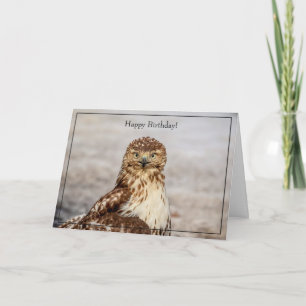 Happy Birthday Card Red-Tailed Hawk