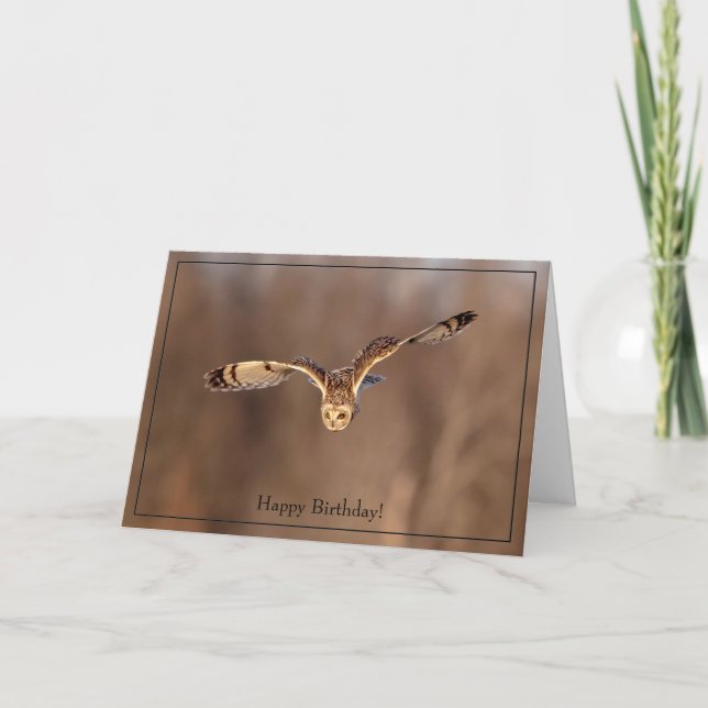 Happy Birthday Card Short-eared owl (Front)