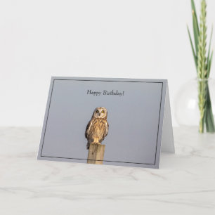Happy Birthday Card short-eared owl