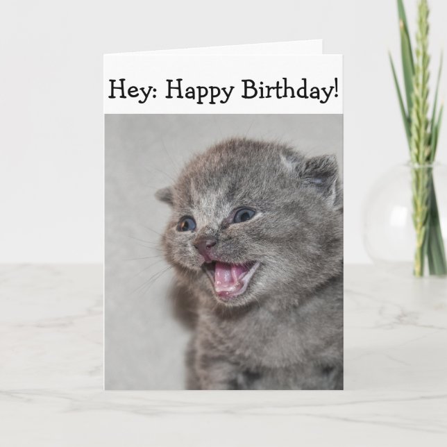 Happy Birthday Card: Surprised grey Kitten Card (Front)