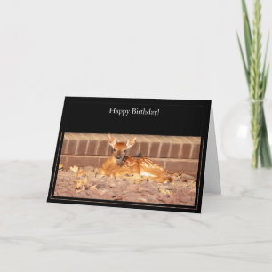 Happy Birthday Card White-Tailed Deer Fawn