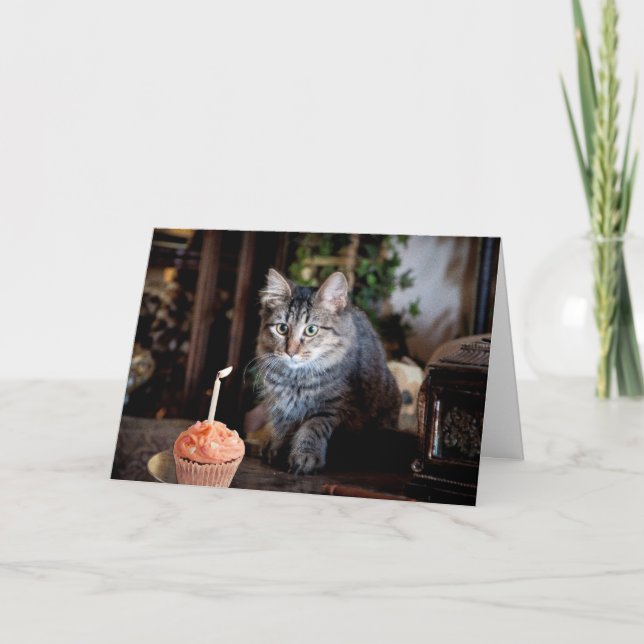 Happy Birthday card with cat (Front)