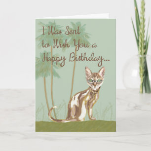 Happy Birthday Card with Cat, Humourous