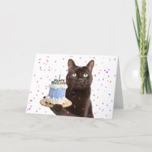 Happy Birthday Cat Holding Birthday Cat Holiday Card