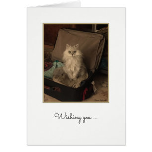 Happy Birthday Cat in Suitcase Card