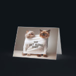 Happy Birthday Cats for Brother Card<br><div class="desc">Two Persian cats are humorously squeezed into a single white shirt that reads "OUR GET ALONG SHIRT with disgruntled expressions on their faces.
Can be used for any sibling's birthday.
Text is editable.</div>