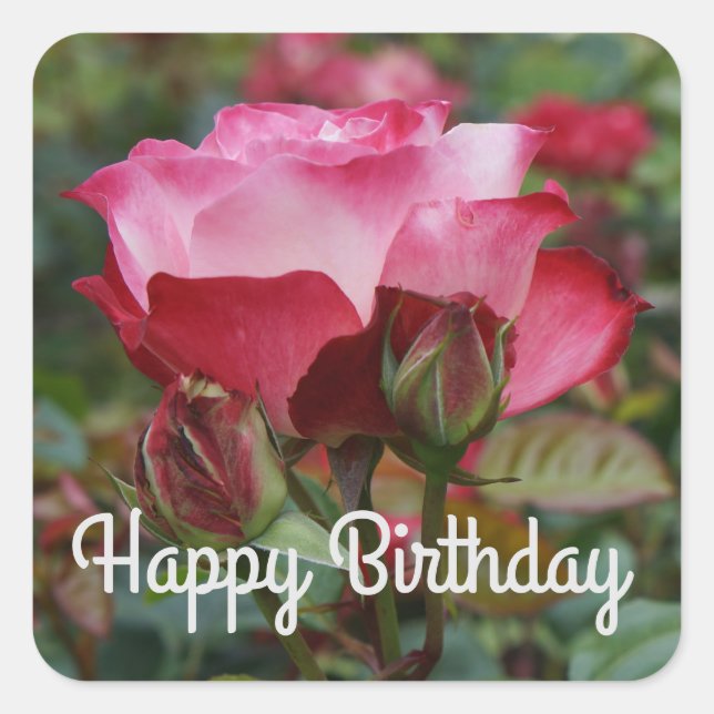 Happy Birthday Cherry Parfait Rose #1-2 Stickers (Front)