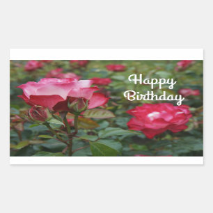 Happy Birthday Cherry Parfait Rose #1 Stickers