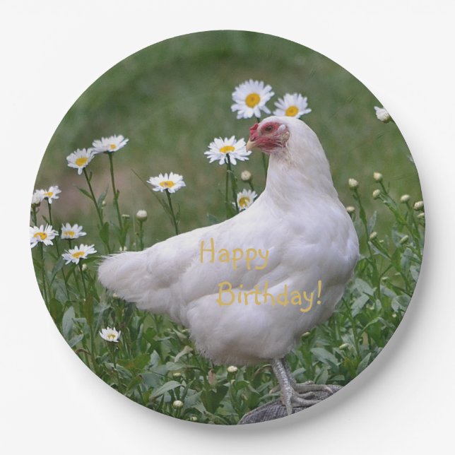 Happy Birthday Chicken With Daisies Paper Plate (Front)