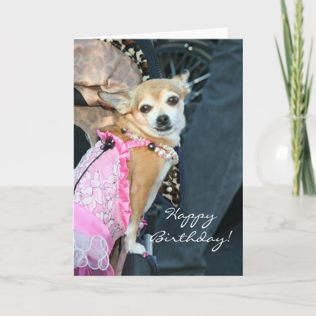Happy Birthday Chihuahua greeting card (Front)