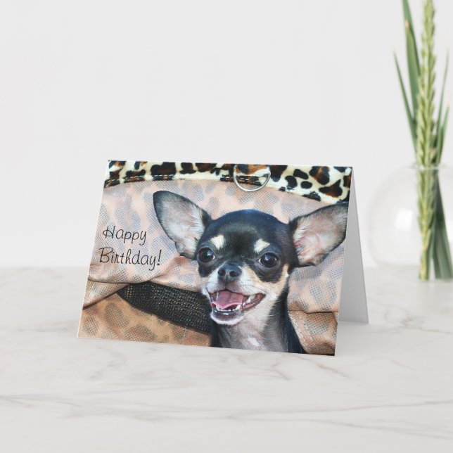 Happy Birthday Chihuahua greeting card (Front)