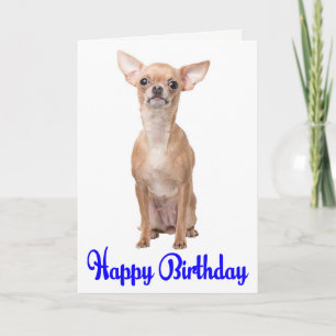 Happy Birthday Chihuahua Puppy Blue Verse Card