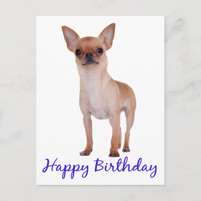 Happy Birthday Chihuahua Puppy Blue - Verse Postcard (Front)