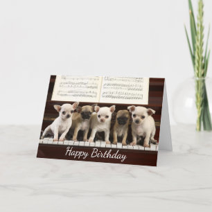 Happy Birthday Chihuahua Puppy Dog   ( Chewawa ) Card
