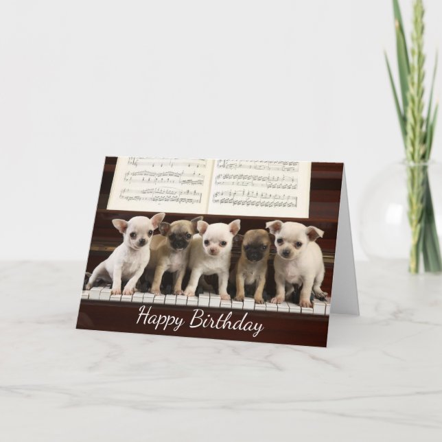 Happy Birthday Chihuahua Puppy Dog   ( Chewawa ) Card (Front)