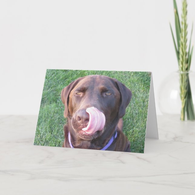 Happy Birthday Chocolate Lab Cute & Funny Card! Card (Front)
