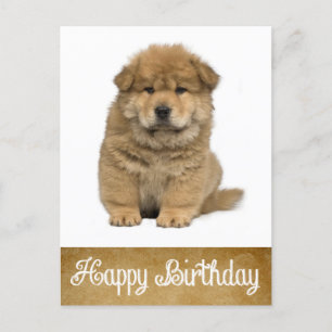 Happy Birthday Chow Chow Puppy Dog Postcard