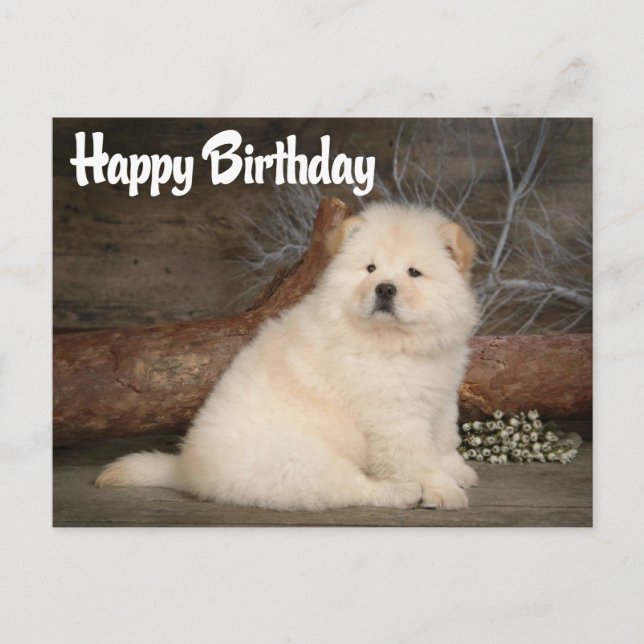 Happy Birthday Chow Chow Puppy Dog Postcard (Front)