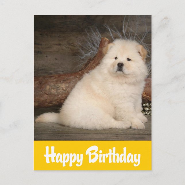 Happy Birthday Chow Chow Puppy Dog Yellow Postcard (Front)