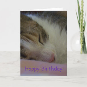 Happy Birthday Christian Card Cat