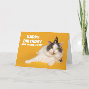Happy Birthday Custom Name Cute Cat in Party Hat  Holiday Card
