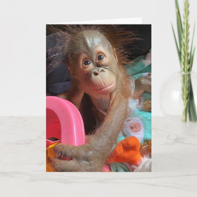 Happy Birthday Cute Baby Orangutan Card (Front)