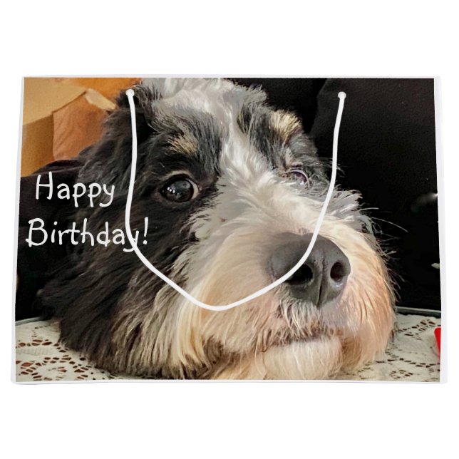 Happy Birthday Cute Bernedoodle Large Gift Bag (Front)