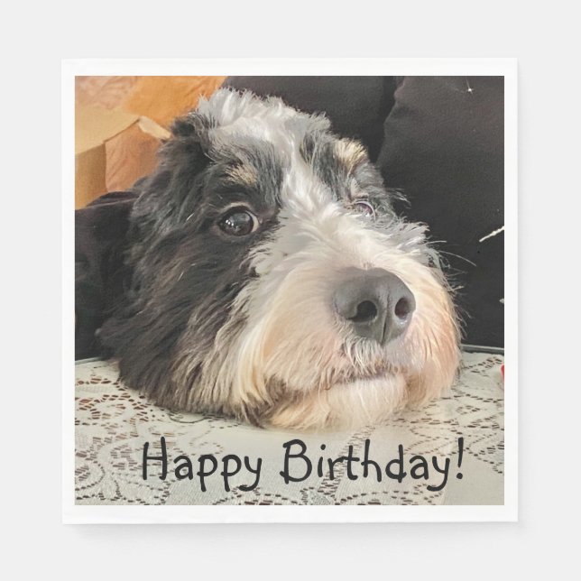 Happy Birthday Cute Bernedoodle Napkin (Front)