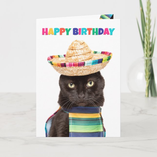 Happy Birthday Cute Black Cat in Sombrerro Holiday Card (Front)