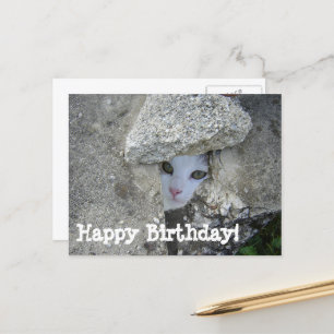 Happy Birthday Cute cat hiding Postcard