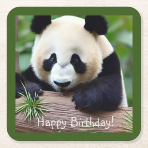 Happy Birthday Cute Panda Bear Square Paper Coaster