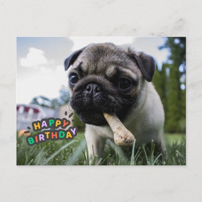 Happy Birthday Cute Puppy with the Bone Postcard (Front)