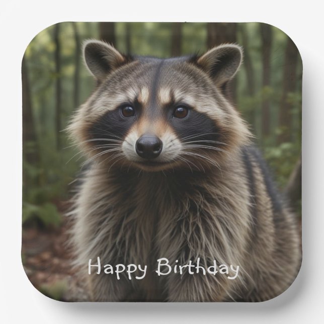 Happy Birthday Cute Raccoon   Paper Plate (Front)