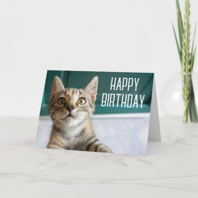 Happy Birthday | Cute Tabby Kitten Card (Front)
