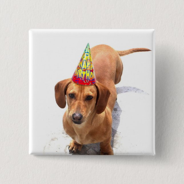 Happy Birthday Dachshund Button (Front)
