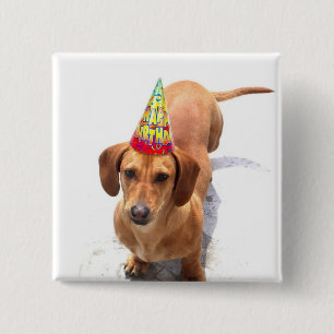Happy Birthday Dachshund Button